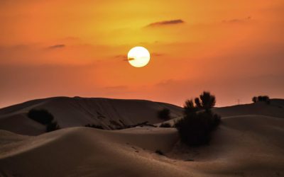 5 Symptoms of Dry Eye