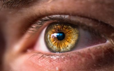What Causes Bumps on Your Eyelid?