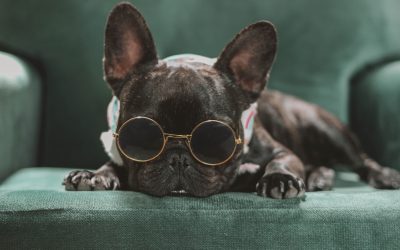 Do Anti-Fatigue Lenses Actually Work?