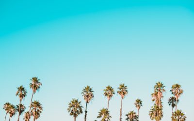 The ultimate guide to scleral contact lenses for dry eyes