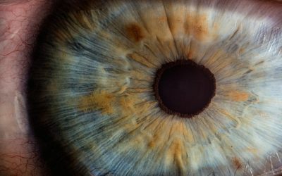 Tips for successful orthokeratology lens wear
